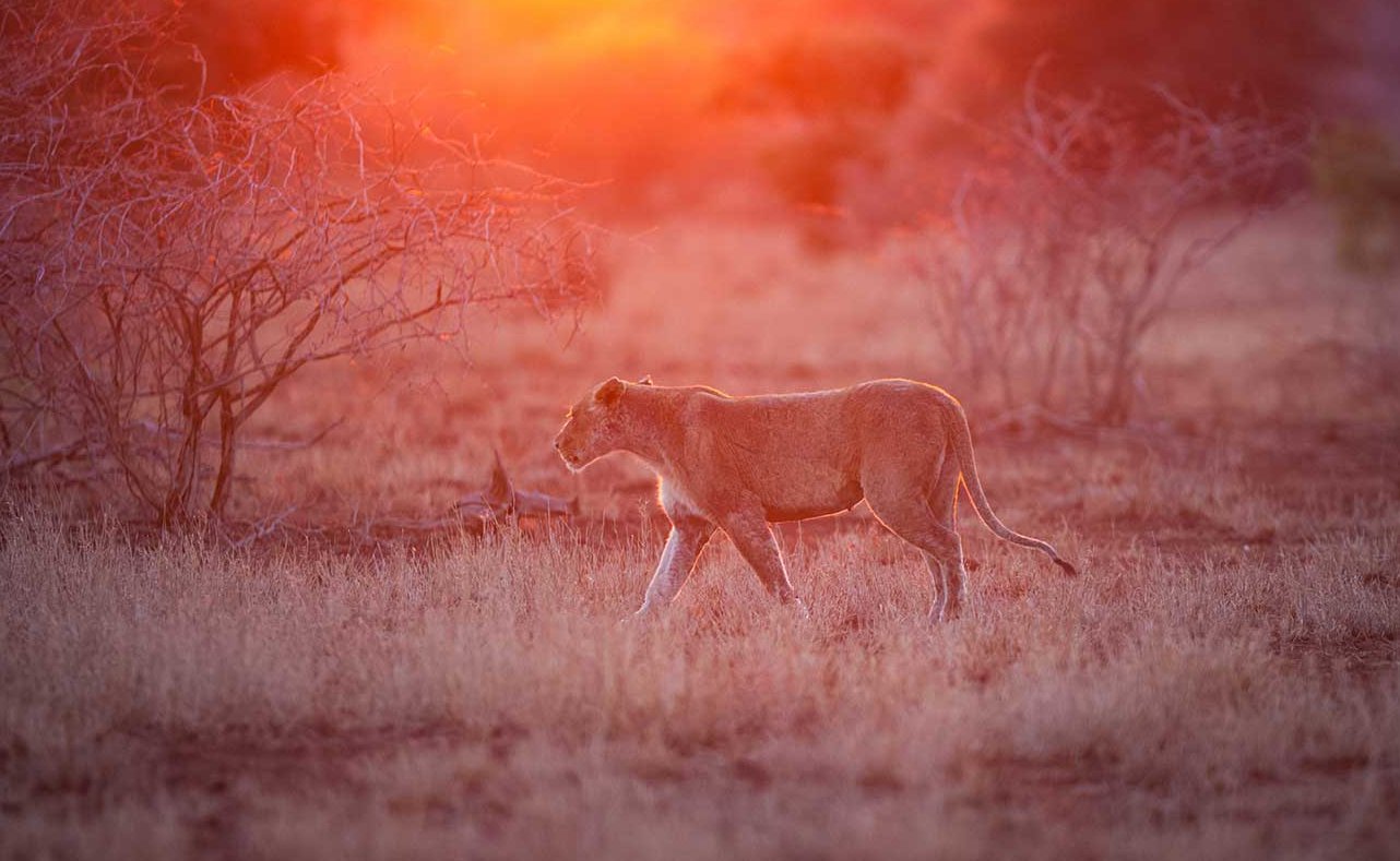 Botswana
