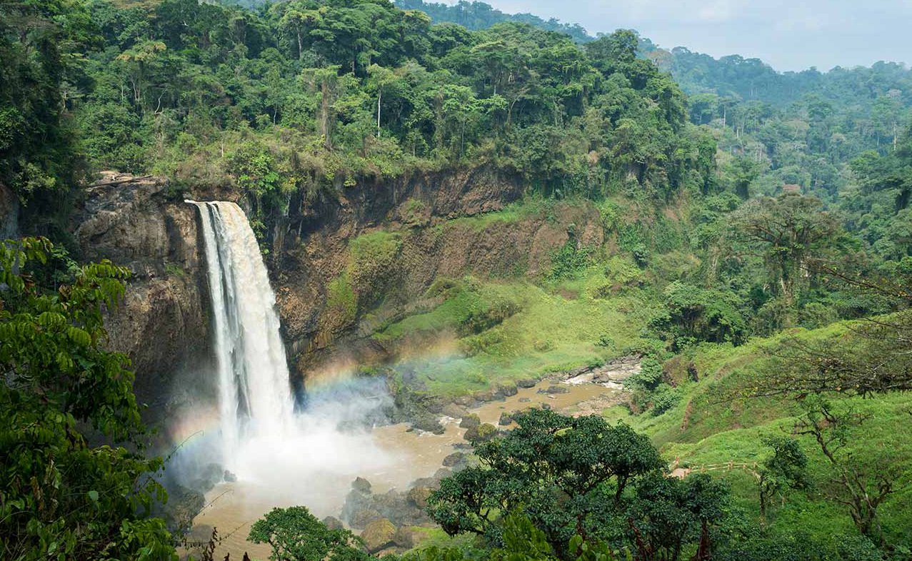 Cameroon