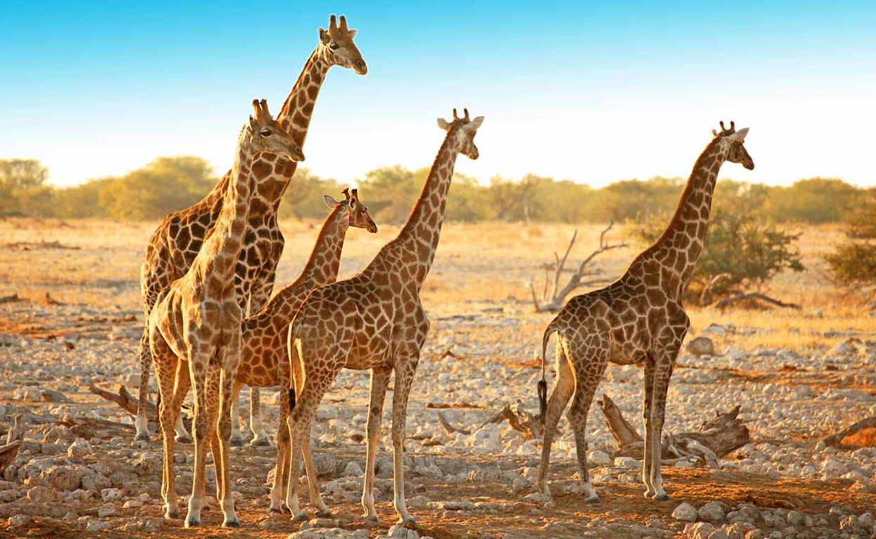 Namibia