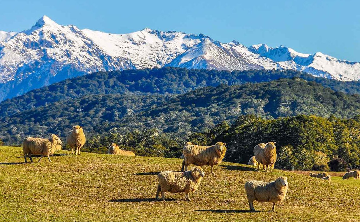 New Zealand