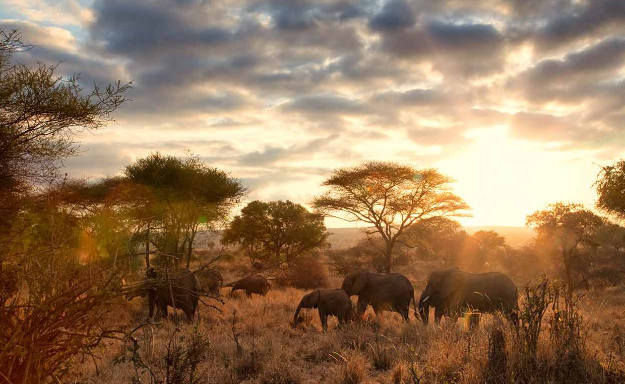 Tanzania