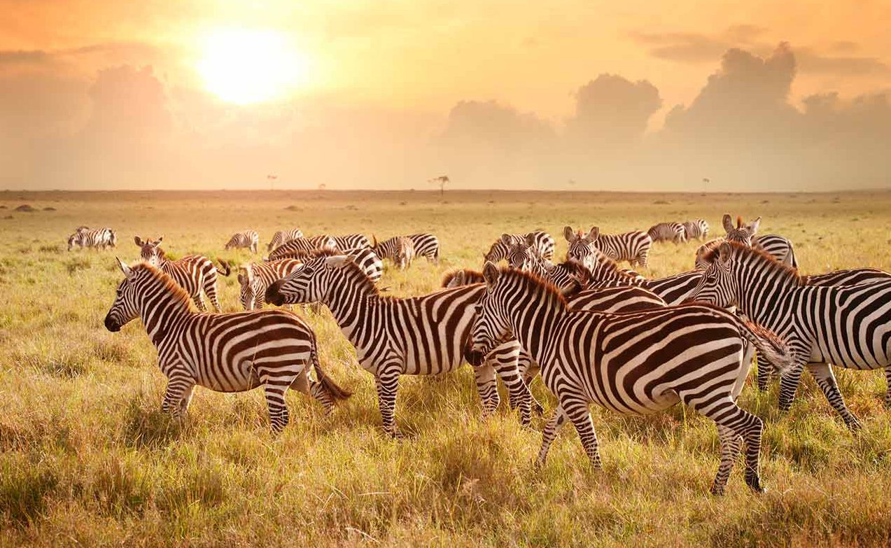 Uganda