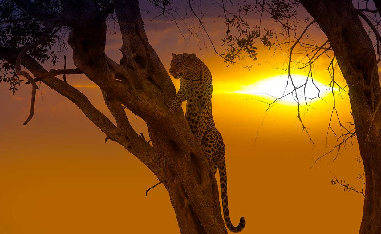Kenya